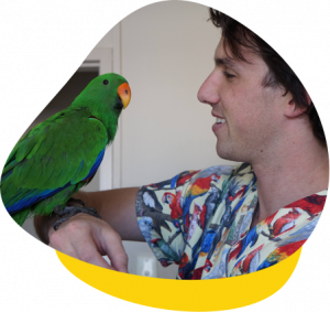 Bird Vet Perth, Melbourne & Brisbane (Chickens, Parrots, Waterbirds Etc.)