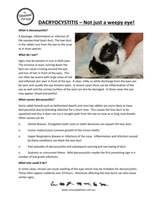 Rabbit Disease Information | The Unusual Pet Vets