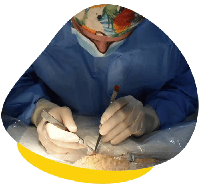 Surgery anaesthesia