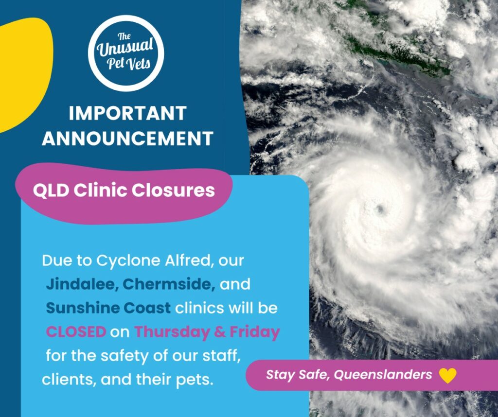 Cyclone alfred QLD clinic closure